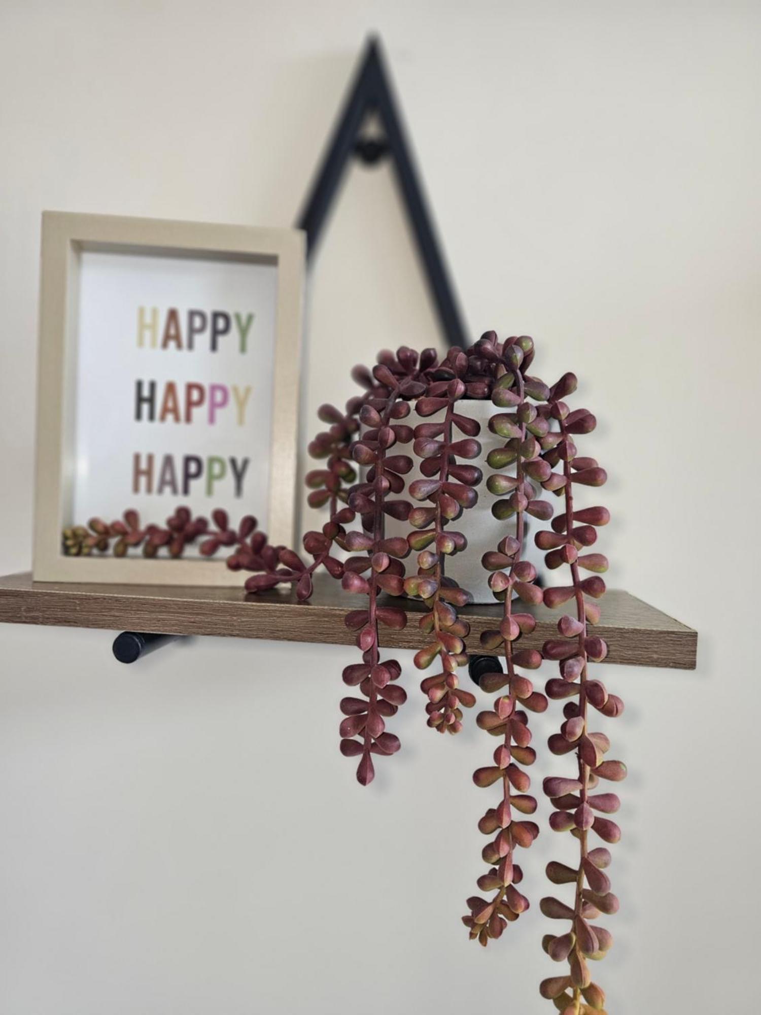 Fife House - Welcome Short Stays Derby Ngoại thất bức ảnh